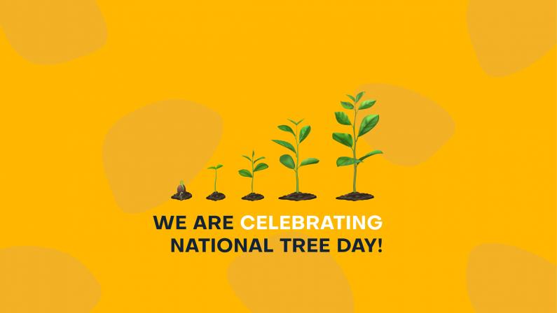 National Tree Day Blog Image